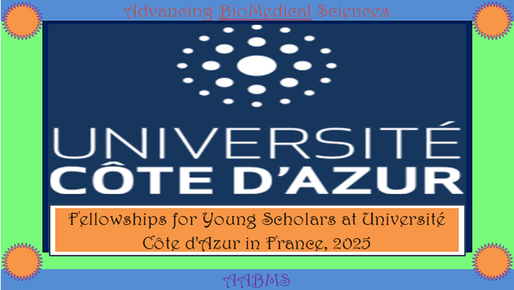 Université Côte d'Azur