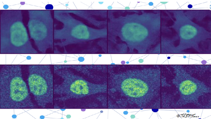 Researchers can use AI to predict the location of virtually any protein within a human cell